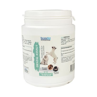 Dental Assaut en poudre : 100gr