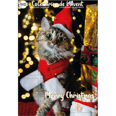 Calendrier de l'avent pour chat