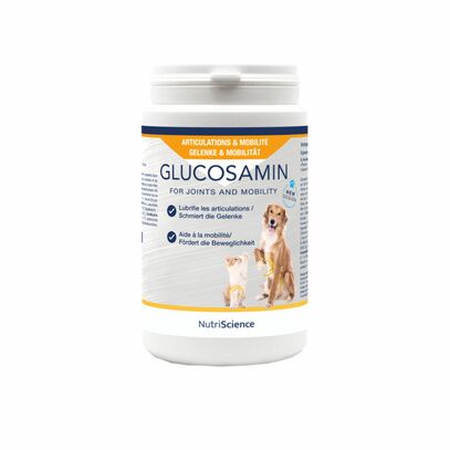 Glucosamin poudre - 250g