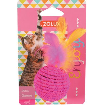 Jouet balle élastique pour chat